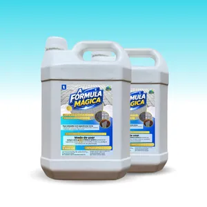 2 Litros Detergente Limpa Calçada A Fórmula Mágica
