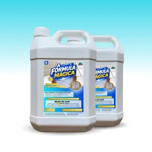 2 unidades Detergente Limpa Piso A Fórmula Mágica